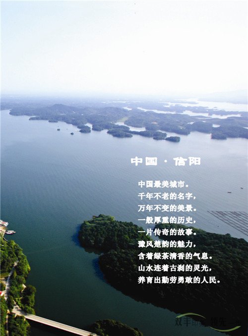 河南东泰置业有限公司企业宣传画册印刷