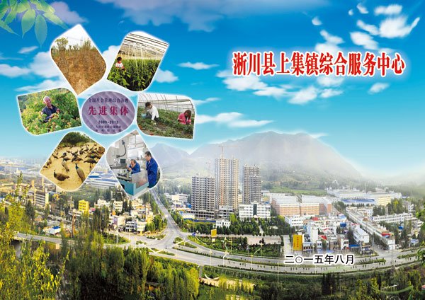 上集镇综合服务中心期刊印刷
