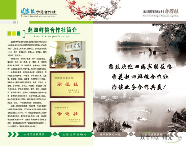 农村合作社宣传画册