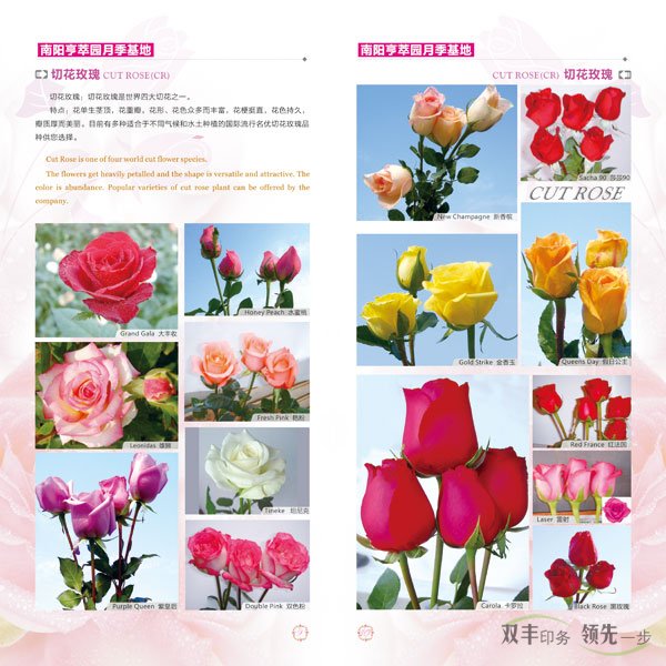 南阳亨萃园宣传画册