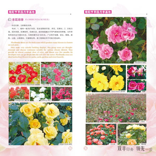 南阳亨萃园宣传画册