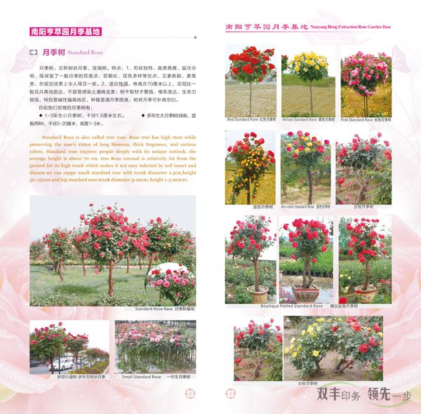 南阳亨萃园宣传画册